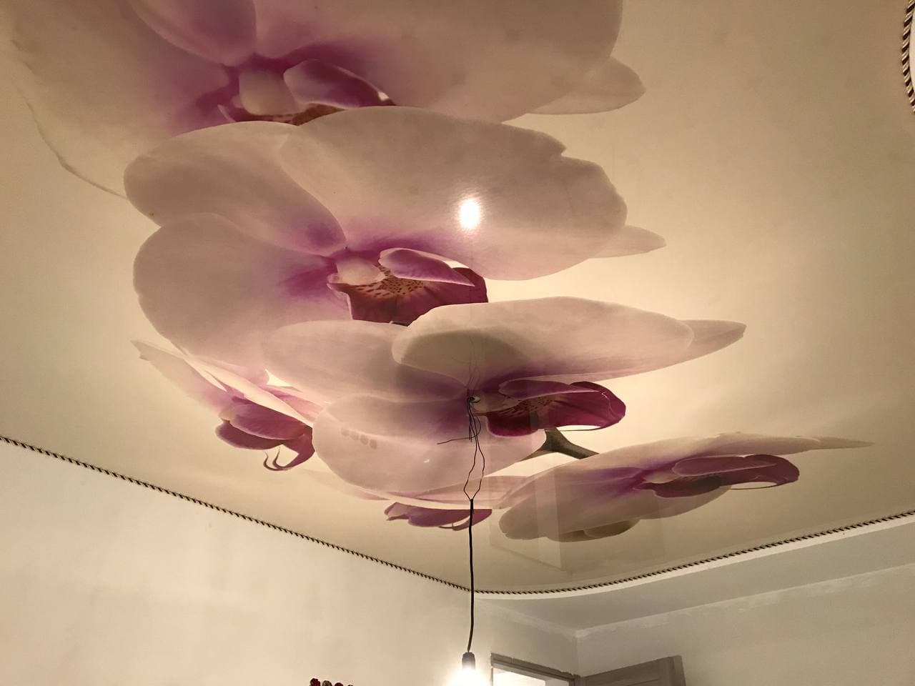 Tavan extensibil cu print orhidee